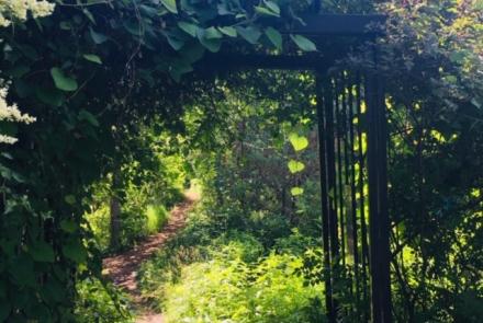 Hillside path in Toronto