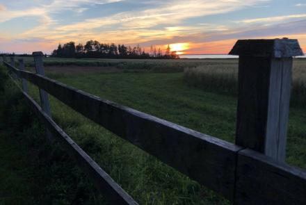 Fields at sunset
