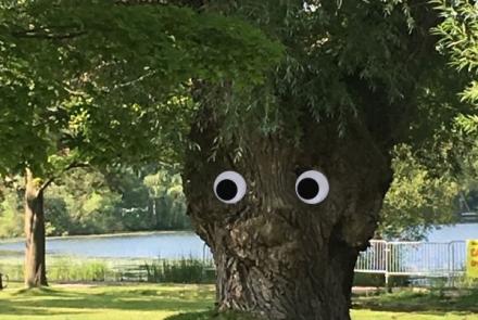 Googly eyes on a tree
